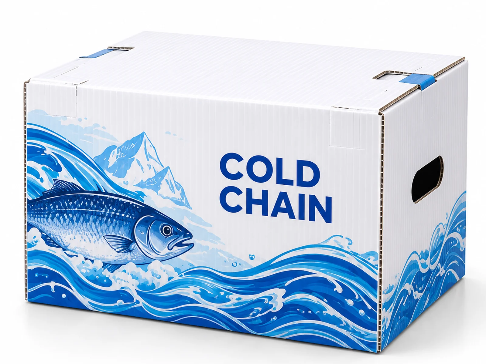Cold Chain Boxes